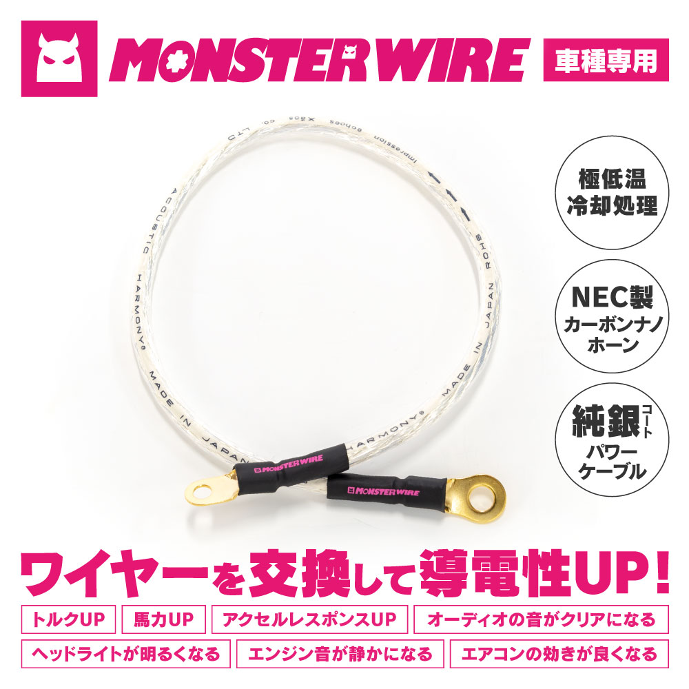 MONSTER WIRE