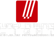 高品質HIDのWOLRD WING LIGHT